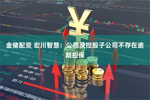 金猪配资 宏川智慧：公司及控股子公司不存在逾期担保