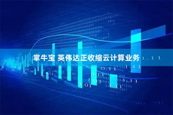 掌牛宝 英伟达正收缩云计算业务