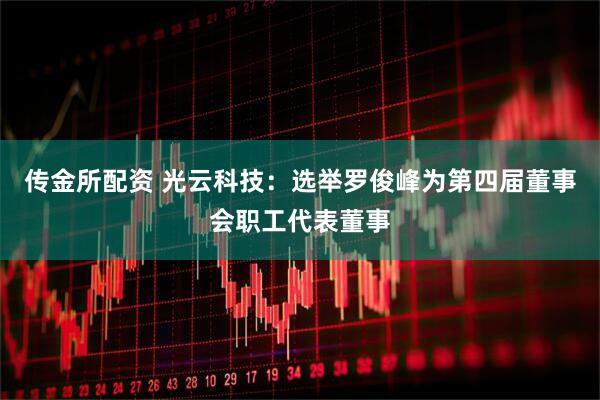 传金所配资 光云科技：选举罗俊峰为第四届董事会职工代表董事