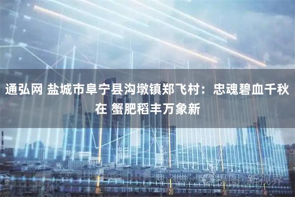 通弘网 盐城市阜宁县沟墩镇郑飞村：忠魂碧血千秋在 蟹肥稻丰万象新