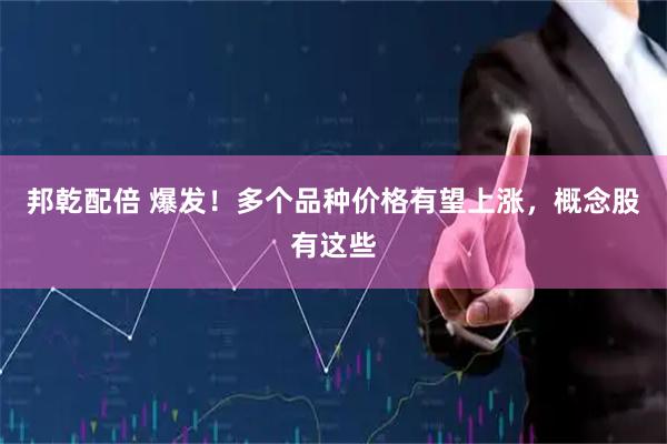 邦乾配倍 爆发！多个品种价格有望上涨，概念股有这些