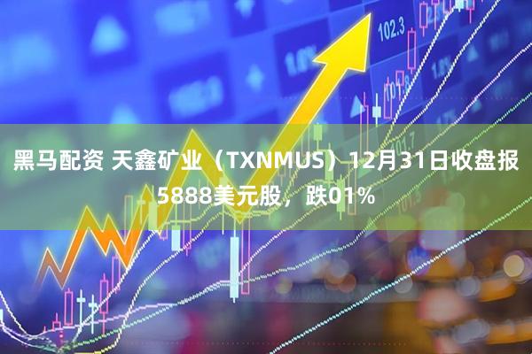 黑马配资 天鑫矿业（TXNMUS）12月31日收盘报5888美元股，跌01%