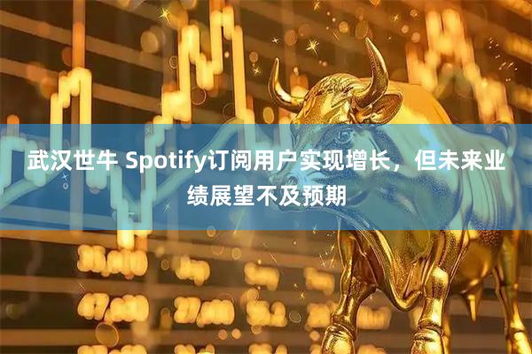 武汉世牛 Spotify订阅用户实现增长，但未来业绩展望不及预期