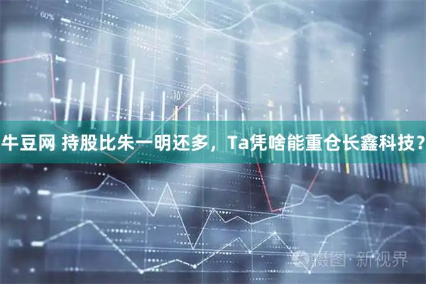 牛豆网 持股比朱一明还多,Ta凭啥能重仓长鑫科技?
